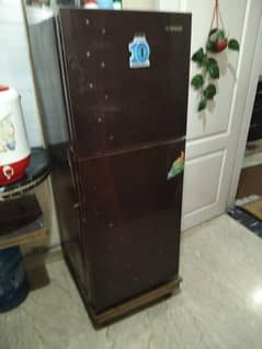waves fridge