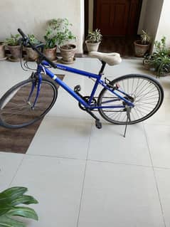 Renault Bicycle
