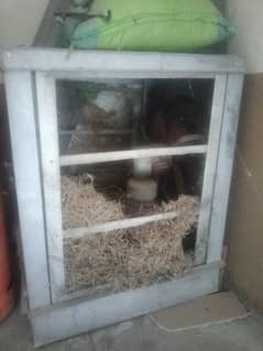 super aisa lahori cooler