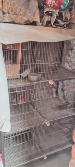 6 portion cage