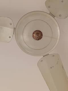 Ceiling Fan in Good Condition