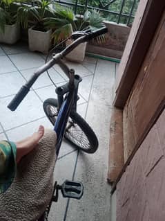 Cycle