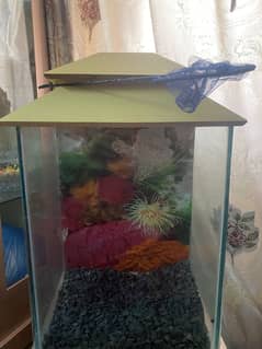 Aquarium for side table