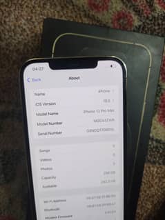 iPhone12pro max