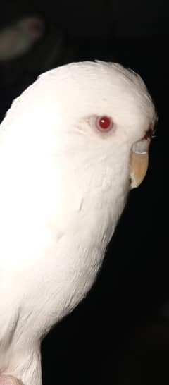 Under