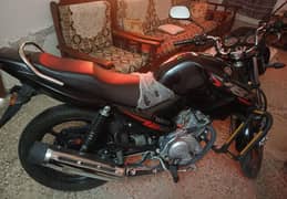yamaha ybr same like brand new