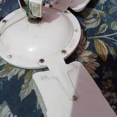 celling fan