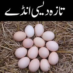 Eggs RS 30 | Organic Fresh Eggs | Ghar Ke Anday For Sale |  Desi Eggs