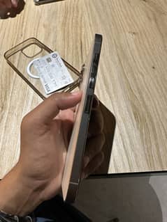 iphone 13 pro max dual pta approved