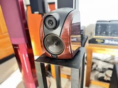 Rogers DB101