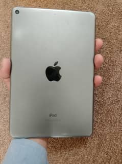 ipad mini 5 64 gb lush condition