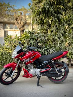 Yamaha ybr 125