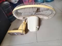 Royal Fan