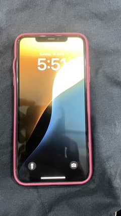 11pro max PTA approved