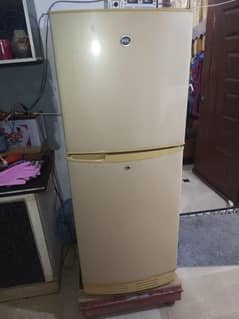 pel medium size  fridge in vip condition