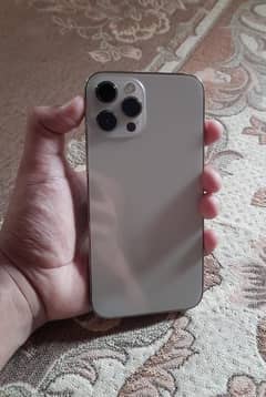 12 pro max golden colour