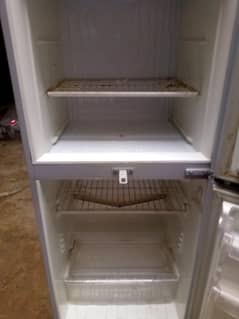 freezer pel
