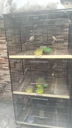 Cages