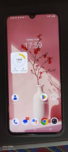 Mobiles V25e