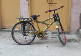 Roady bicycle for sale