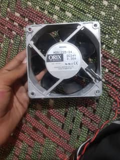 orix