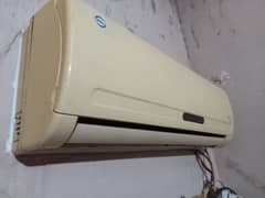 PEL