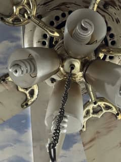 Celling fan