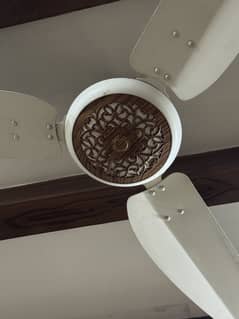 Celling