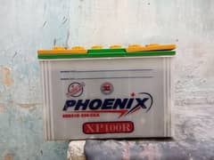phoenix