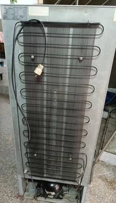 Hair Medium size Fridge