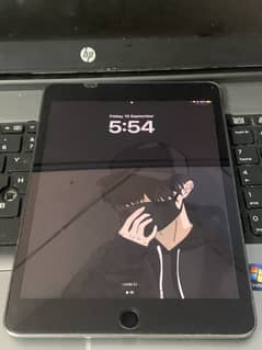 Ipad mini 5 64gb don't call only text on whatsapp please