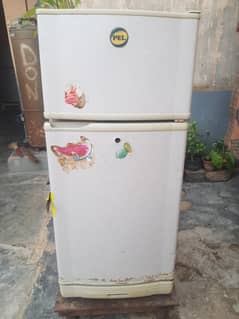 PEL REFRIGERATOR  | Used | 5 feet  medium size | 03152234976