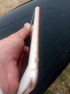 8 plus
