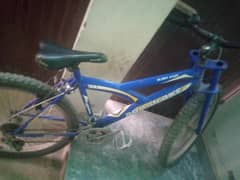 Bicycle