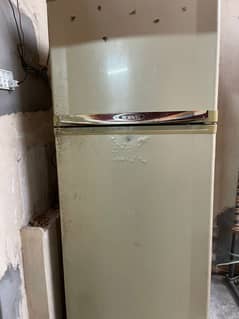 Waves fridge
