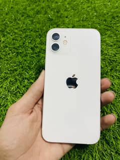 iPhone 12 HK model pta