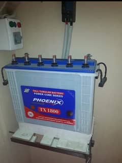 Phoenix Bettry (TX-1800)