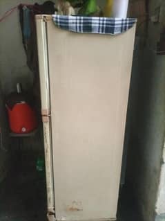 refrigerator