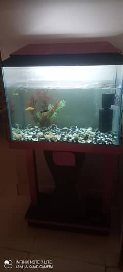 Aquarium for Sale - Excellent Condition