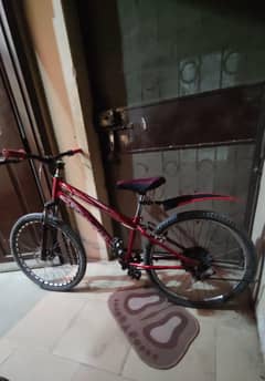 Sports Bicycle