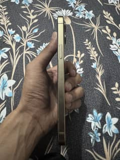 iPhone 12 pro max 256gb PTA OFFICAL APPROVED DUAL