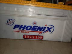Battery+UPS 1000 watts or phoenix brand