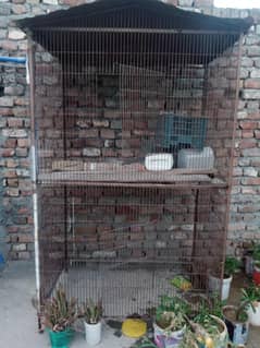 bird cages