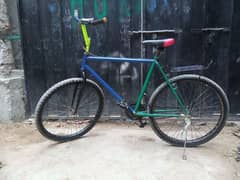 phoenix cycle