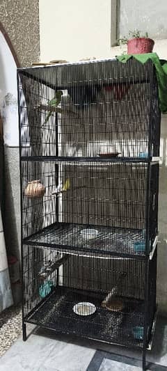 Black Cage for birds