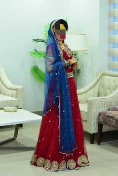 beautiful designer lehnga