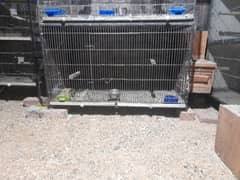 Used Cages