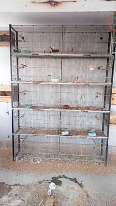 Birds Cages