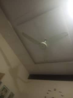 ceiling