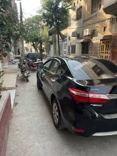 Gli 1.3 2015